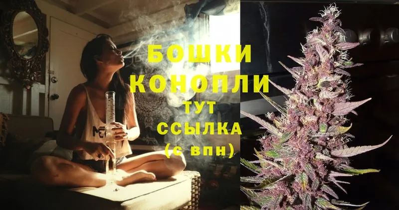 Марихуана SATIVA & INDICA  Заводоуковск 